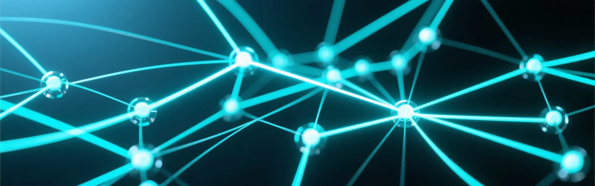 Support Network